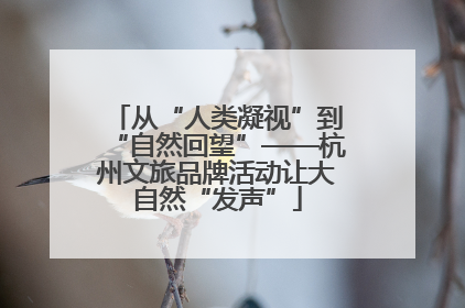 从“人类凝视”到“自然回望”——杭州文旅品牌活动让大自然“发声”