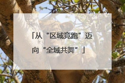 从“区域竞跑”迈向“全域共舞”