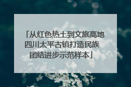 从红色热土到文旅高地 四川太平古镇打造民族团结进步示范样本