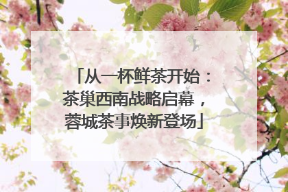 从一杯鲜茶开始：茶巢西南战略启幕，蓉城茶事焕新登场