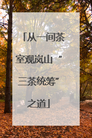 从一间茶室观岚山“三茶统筹”之道