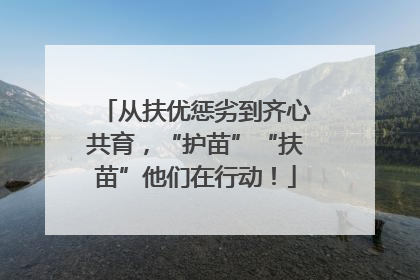 从扶优惩劣到齐心共育，“护苗”“扶苗”他们在行动！