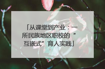 从课堂到产业：一所民族地区职校的“互嵌式”育人实践