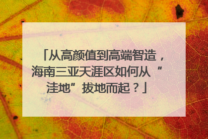 从高颜值到高端智造，海南三亚天涯区如何从“洼地”拔地而起？