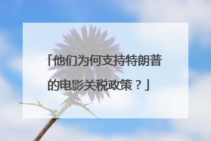 他们为何支持特朗普的电影关税政策？