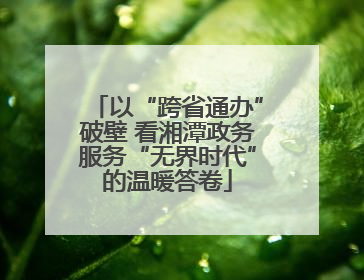 以“跨省通办”破壁 看湘潭政务服务“无界时代”的温暖答卷