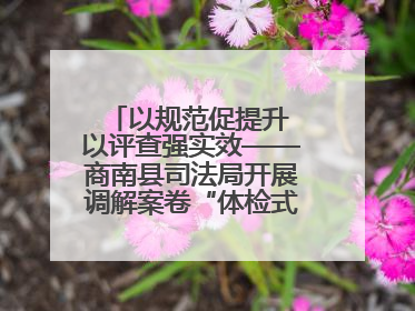 以规范促提升 以评查强实效——商南县司法局开展调解案卷“体检式”评查行动