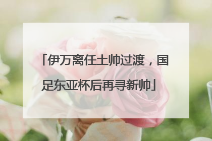 伊万离任土帅过渡，国足东亚杯后再寻新帅
