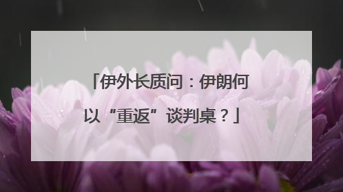 伊外长质问：伊朗何以“重返”谈判桌？