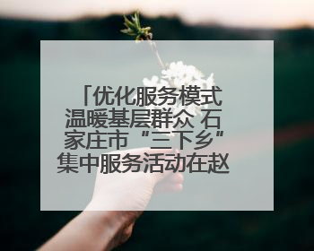 优化服务模式 温暖基层群众 石家庄市“三下乡”集中服务活动在赵县举行