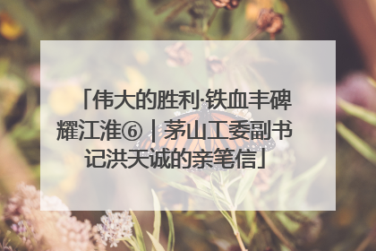 伟大的胜利·铁血丰碑耀江淮⑥｜茅山工委副书记洪天诚的亲笔信