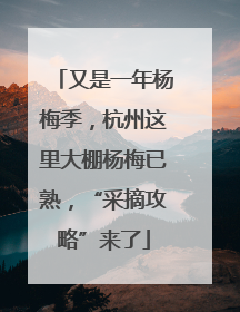 又是一年杨梅季，杭州这里大棚杨梅已熟，“采摘攻略”来了