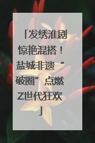 发绣淮剧惊艳混搭！盐城非遗“破圈”点燃Z世代狂欢