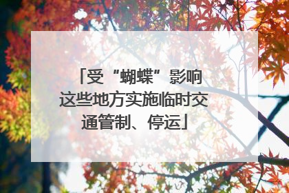 受“蝴蝶”影响 这些地方实施临时交通管制、停运