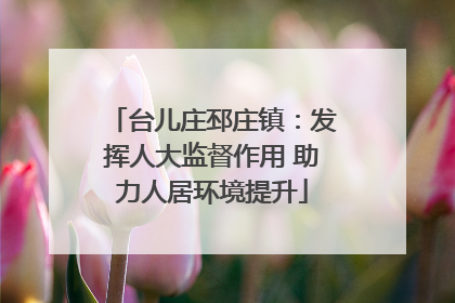 台儿庄邳庄镇：发挥人大监督作用 助力人居环境提升