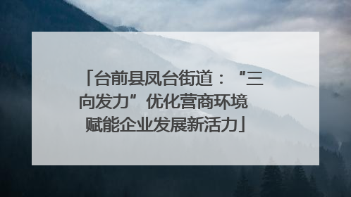 台前县凤台街道：“三向发力”优化营商环境 赋能企业发展新活力