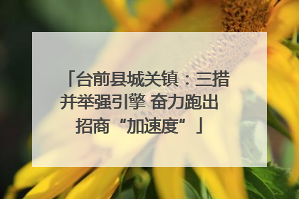 台前县城关镇：三措并举强引擎 奋力跑出招商“加速度”