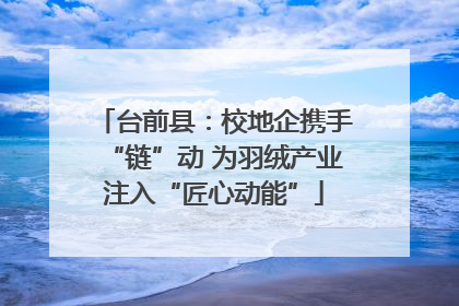 台前县：校地企携手“链”动 为羽绒产业注入“匠心动能”