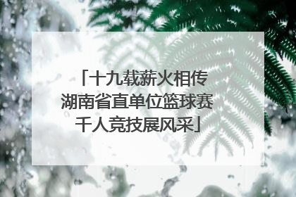 十九载薪火相传 湖南省直单位篮球赛千人竞技展风采