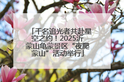 千名追光者共赴星空之约！2025沂蒙山龟蒙景区“夜爬蒙山”活动举行