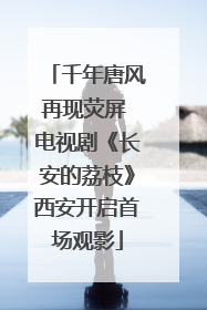 千年唐风再现荧屏 电视剧《长安的荔枝》西安开启首场观影