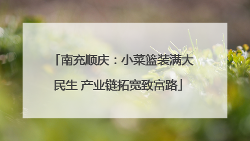 南充顺庆：小菜篮装满大民生 产业链拓宽致富路