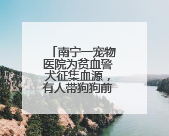 南宁一宠物医院为贫血警犬征集血源，有人带狗狗前来抽血配型