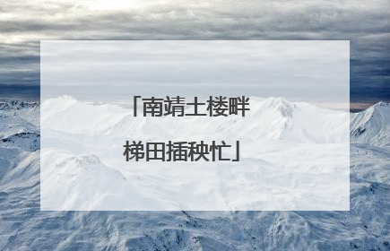 南靖土楼畔 梯田插秧忙