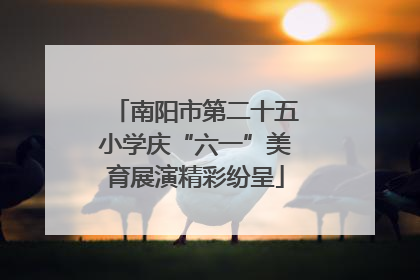 南阳市第二十五小学庆“六一”美育展演精彩纷呈