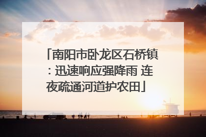 南阳市卧龙区石桥镇：迅速响应强降雨 连夜疏通河道护农田