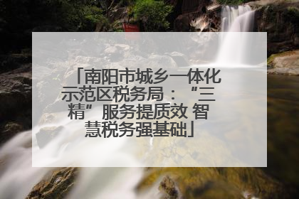 南阳市城乡一体化示范区税务局：“三精”服务提质效 智慧税务强基础