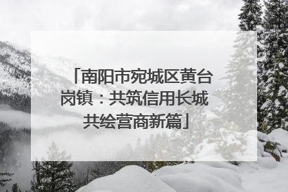 南阳市宛城区黄台岗镇：共筑信用长城 共绘营商新篇