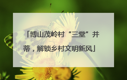 博山茂岭村“三堂”并蒂，解锁乡村文明新风