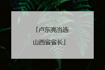 卢东亮当选山西省省长