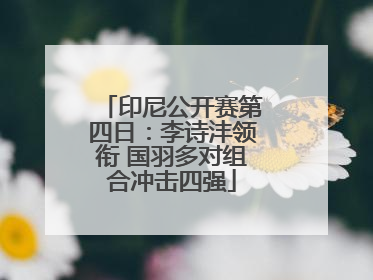 印尼公开赛第四日：李诗沣领衔 国羽多对组合冲击四强
