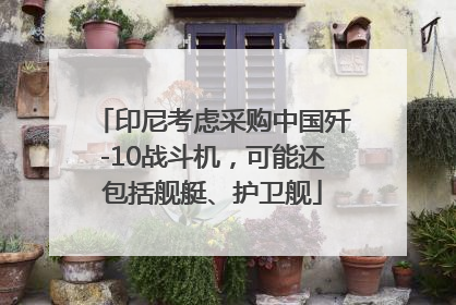 印尼考虑采购中国歼-10战斗机，可能还包括舰艇、护卫舰
