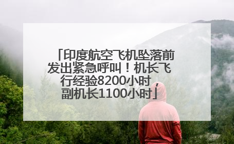 印度航空飞机坠落前发出紧急呼叫！机长飞行经验8200小时，副机长1100小时