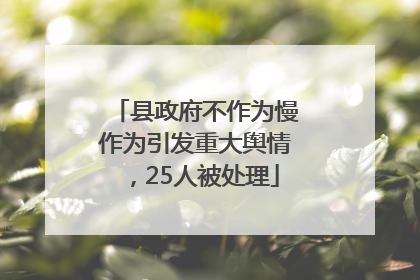 县政府不作为慢作为引发重大舆情，25人被处理