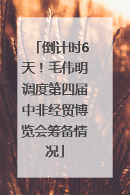 倒计时6天！毛伟明调度第四届中非经贸博览会筹备情况