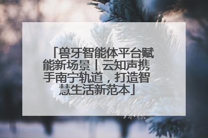 兽牙智能体平台赋能新场景丨云知声携手南宁轨道，打造智慧生活新范本