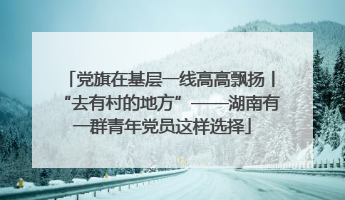 党旗在基层一线高高飘扬丨“去有村的地方”——湖南有一群青年党员这样选择