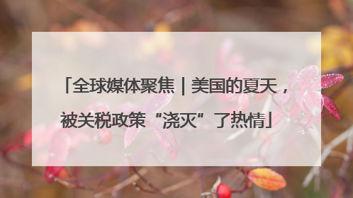 全球媒体聚焦｜美国的夏天，被关税政策“浇灭”了热情