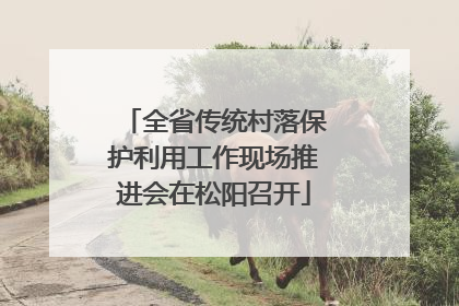 全省传统村落保护利用工作现场推进会在松阳召开