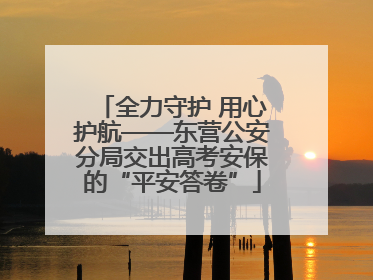 全力守护 用心护航——东营公安分局交出高考安保的“平安答卷”