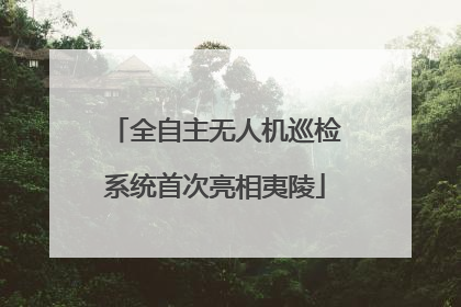 全自主无人机巡检系统首次亮相夷陵