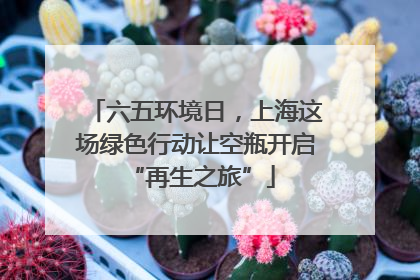 六五环境日，上海这场绿色行动让空瓶开启 “再生之旅”