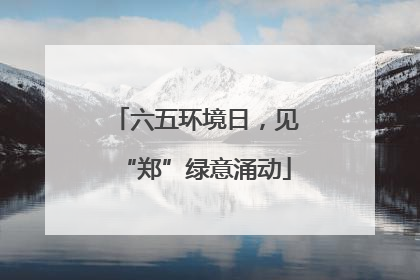 六五环境日，见“郑”绿意涌动