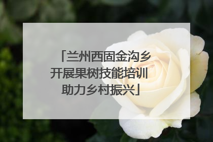 兰州西固金沟乡开展果树技能培训 助力乡村振兴