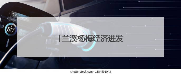 兰溪杨梅经济迸发致富“新”动能