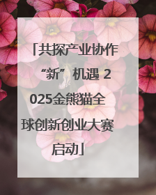 共探产业协作“新”机遇 2025金熊猫全球创新创业大赛启动